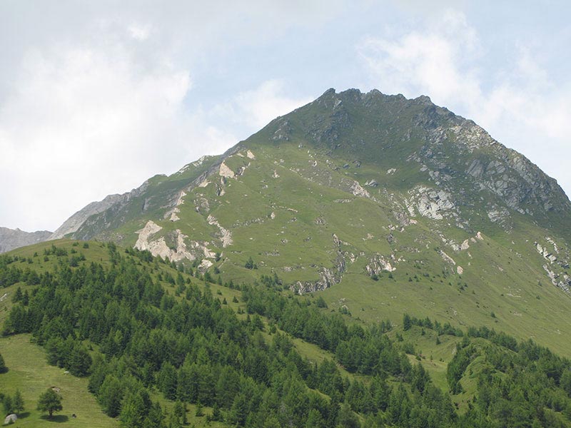 hochschober